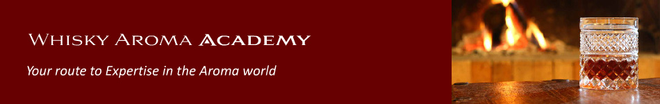 Whiskmy Aroma Academy